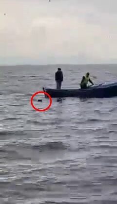 Gölün ortasındaki köpeği işte böyle kurtardılar