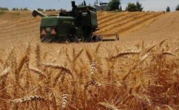 Bakan Pakdemirli duyurdu: Çiftçilere 10 milyon 656 bin TL’lik destek yatıyor￼