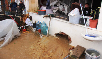 Bodrum’da sel bastı, hayvanlar boğuldu